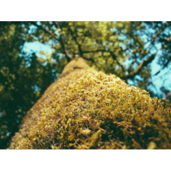 Lightweight Concrete Hat fr-FR